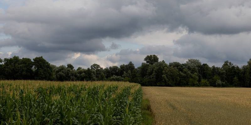 Poljsko ministarstvo obrane: Američki vojni dron se srušio u jugozapadnoj Poljskoj tijekom trenažnog leta