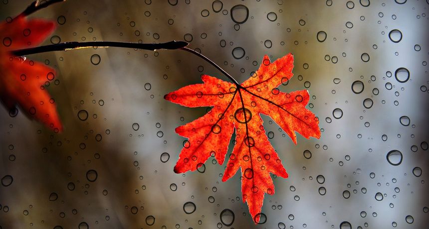 Olujno nevrijeme i kaos u prometu: Hrvatsku pogodilo naglo pogoršanje vremena, snijeg u gorju, crveni alarm na Kvarneru