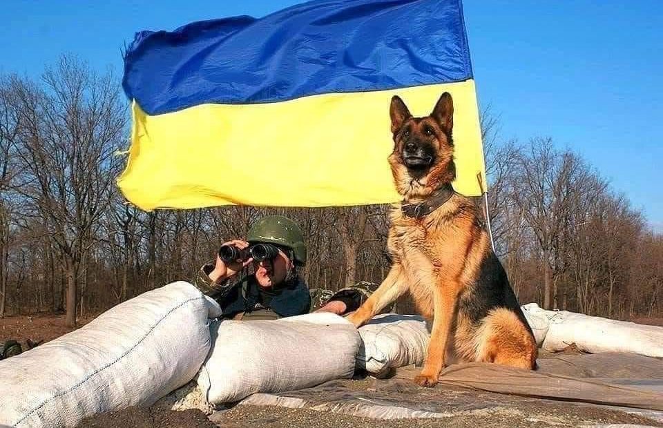 UN: U ratu u Ukrajini poginulo ili ranjeno blizu 18.000 civila