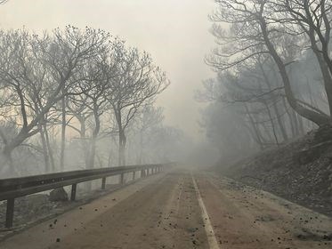 Vatrogasci hrabro gase požar u Grebaštici dok ih otežava jak vjetar