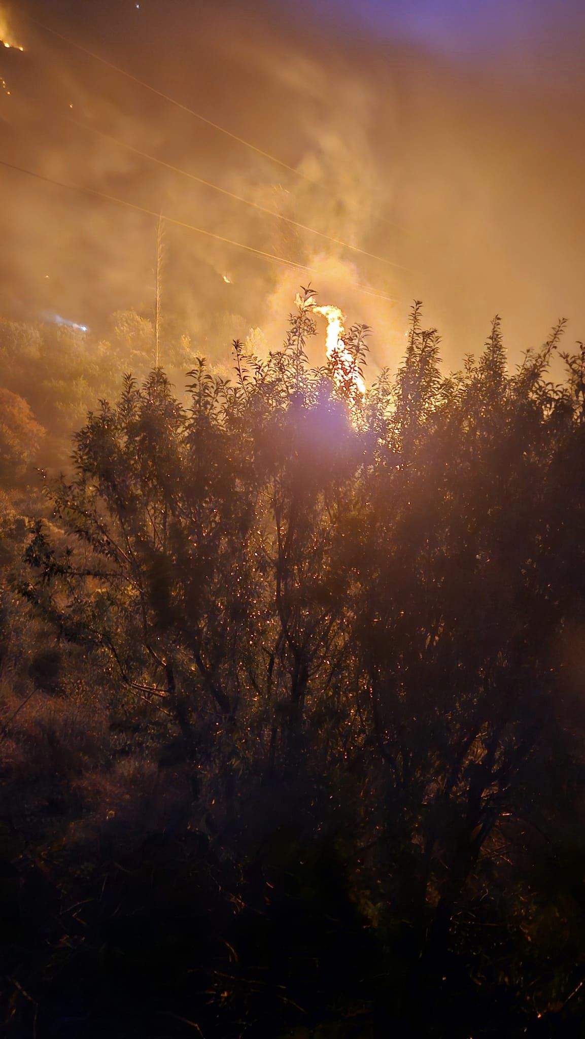 Dramatični požar zahvatio okolicu Dubrovnika - Vatrogasci se hrabro bore s plamenom