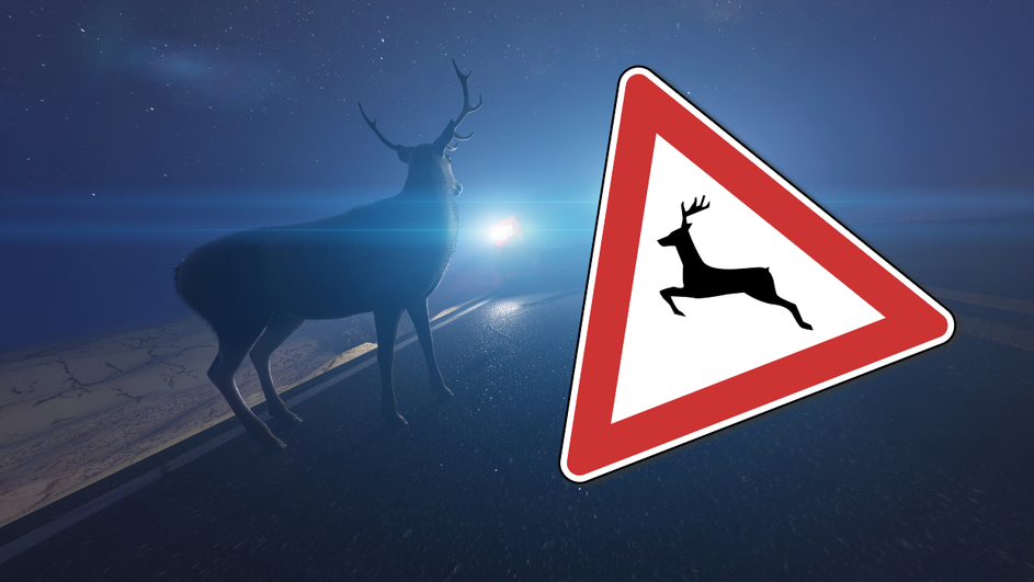 Do odštete za sudar s divljači još možete doći samo na sudu