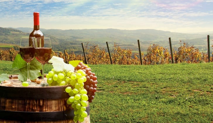 Slavi se Martinje diljem zemlje: Policija vozače poziva na oprez