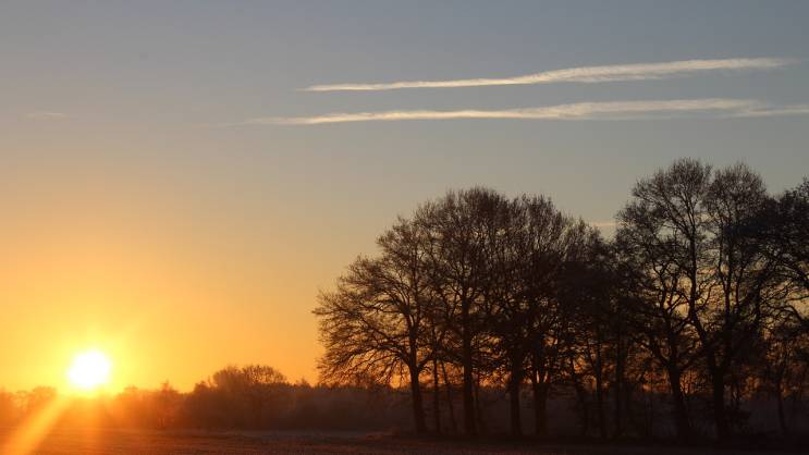 Proljeće u punom sjaju: Sunčano vrijeme uz porast temperature