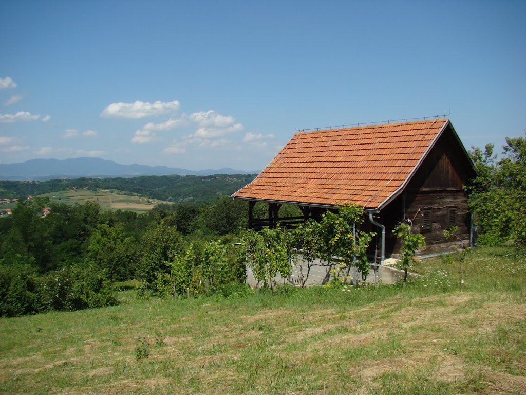 Celi svet je ponorel, pa i Ameri