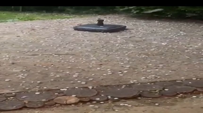 Pala tuča na šire dugoreško područje: Padala je desetak minuta, bila je gusta, ali ne krupna