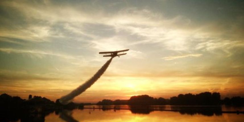 Neviđena invazija komaraca u Osijeku: Građani svjedoče o otežanom životu