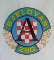 Legendarna A Satnija (četa) osnovana je 10. lipnja 1991. godine kao prva vojna formacija Zbora Narodne Garde