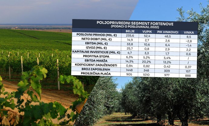 Fortenova traži kupca agrobiznisa: Analiziramo brojke, motive i potencijalne kupce