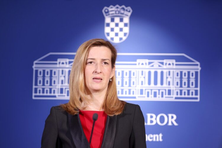 Ahmetović: Usprotivili smo se Plenkovićevom stavu “mogu što hoću”