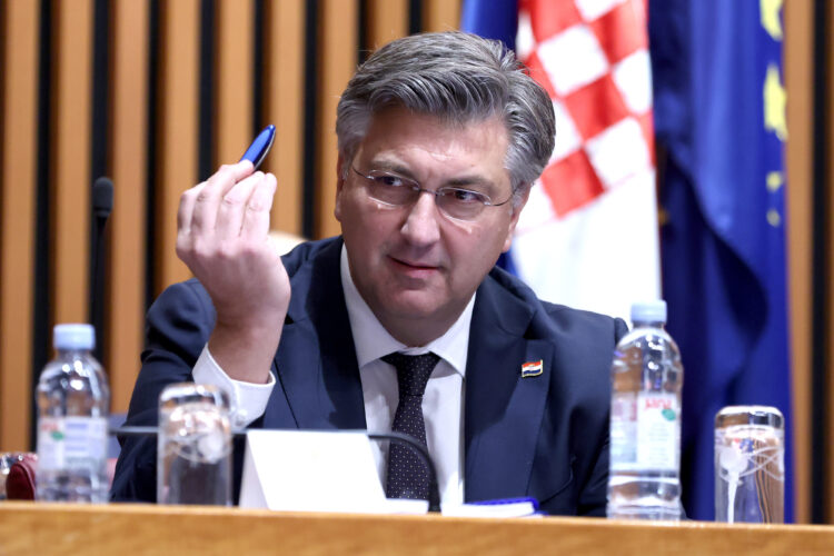 U Saboru rasprava o opozivu Plenkoviću, on odgovorio zastupnici: “Vi ste očito jedna od Milanovićevih učenica, pudlica”