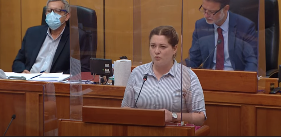 HAJDE DOBRO... SDSS-ovka u Saboru na raspravi o seksualnom nasilju nekako došla do Jasenovca, Jadovnog i ustaštva