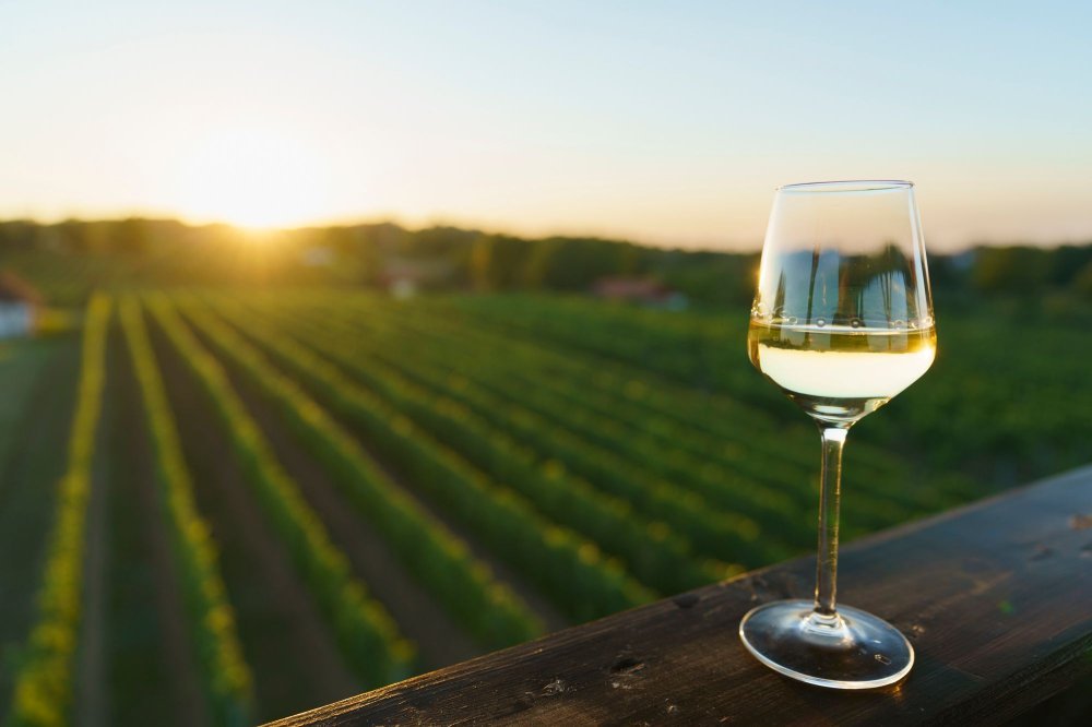 City break s karakterom: Što sve otkriti u Koprivnici, Đurđevcu i Križevcima ovog proljeća