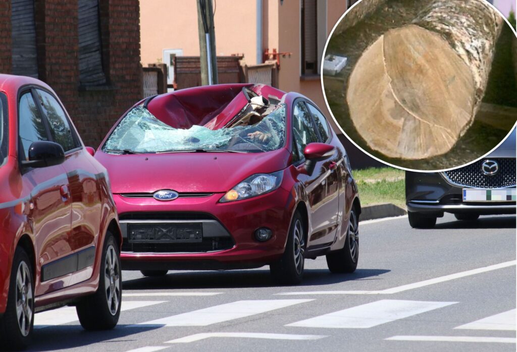 FOTO:  Trupac mu palo na auto u vožnji, pravo je čudo da se nikome nije ništa dogodilo