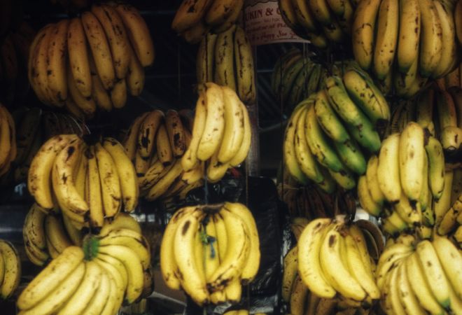 STIGLA POŠILJKA ‘NABRIJANIH’ BANANA! Otvorili kamion i skoro pali u nesvijest: Široki Brijeg u šoku, istraga je već počela