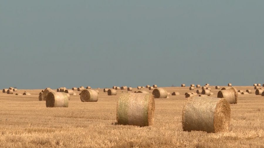 Treba li se bojati nestanka seljaka iz Slavonije? “S jednom stvari nas često plaše”