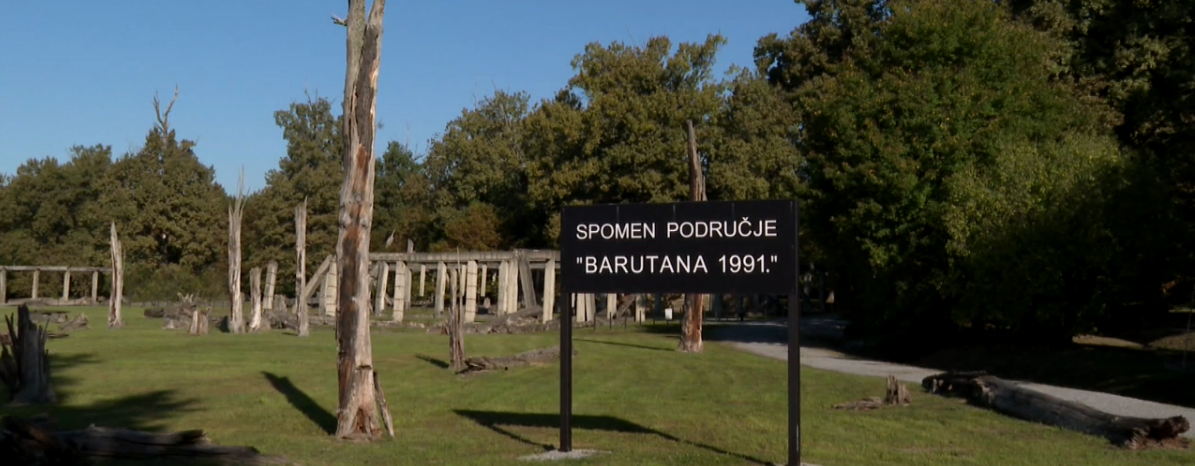 Župan Marušić: "Veličati Milana Tepića je sramotno i degutantno"