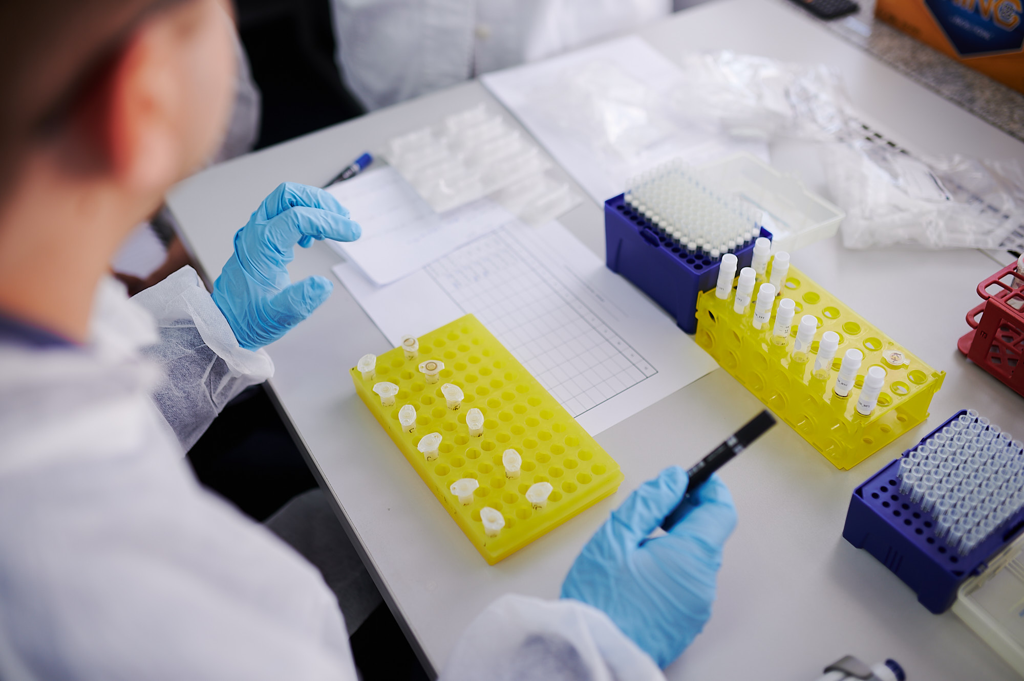 Osekovo: Uz stotinjak uginulih goveda, bedrenica zabilježena i na šest osoba