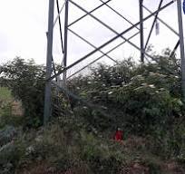 NISU ZABORAVLJENI  Ubijen na korak do slobode: Zvonko Sabljak je zarobljen i na mjestu pogubljen