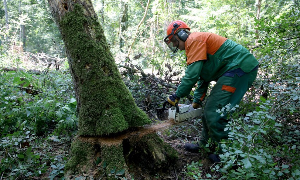 ZAKONSKA POVLASTICA  Provjerite tko sve ima pravo na beneficirani radni staž i ranije umirovljenje