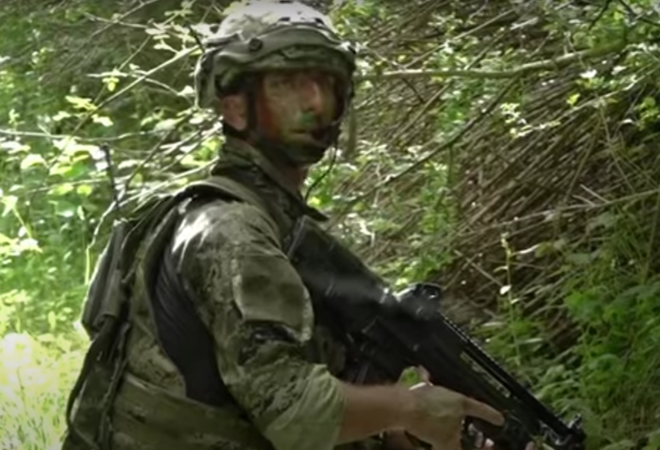 Napeto baš kao u ratu: Tigrovi prošli opaku obuku, ovaj video će vas naježiti