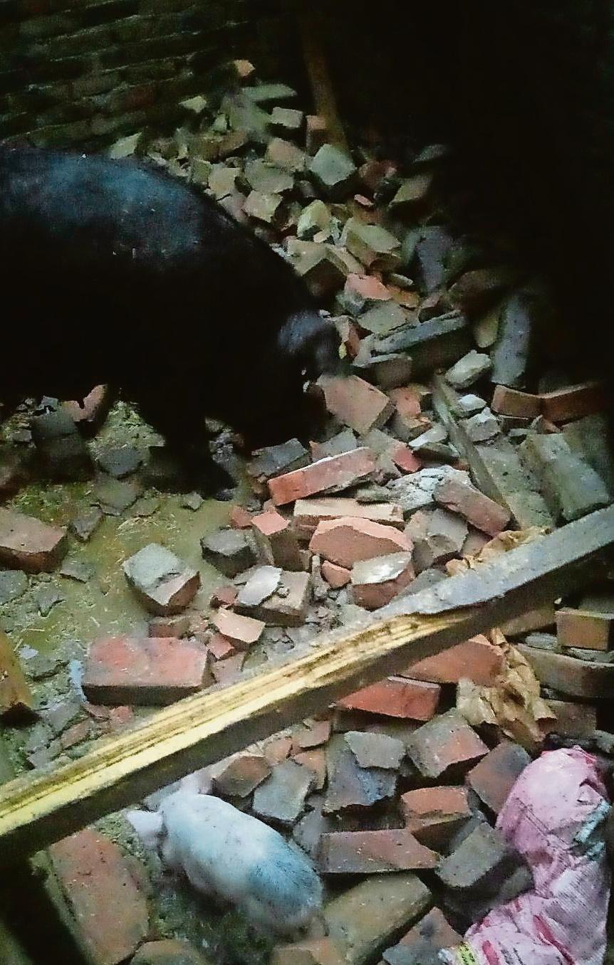 OSTAO BEZ SVEGA ‘Oluje su mi uništile sve! A onda me i načelnik dvaput opalio u glavu i slomio mi nos...‘