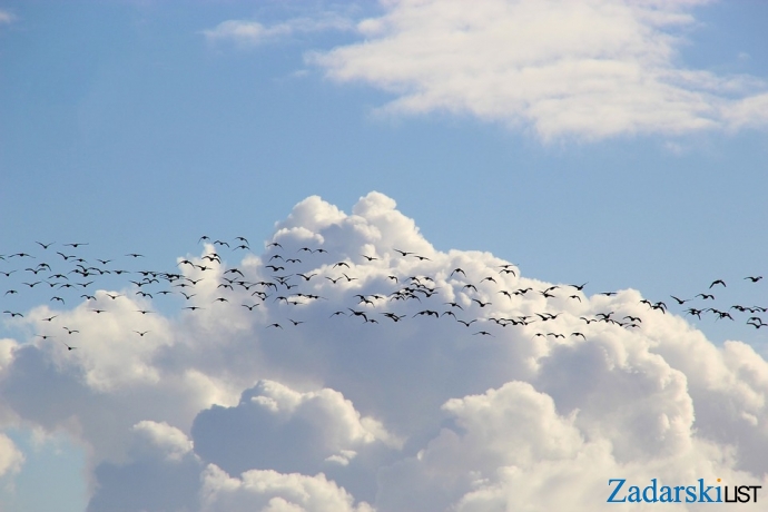 Mili Bože koliko ih ima