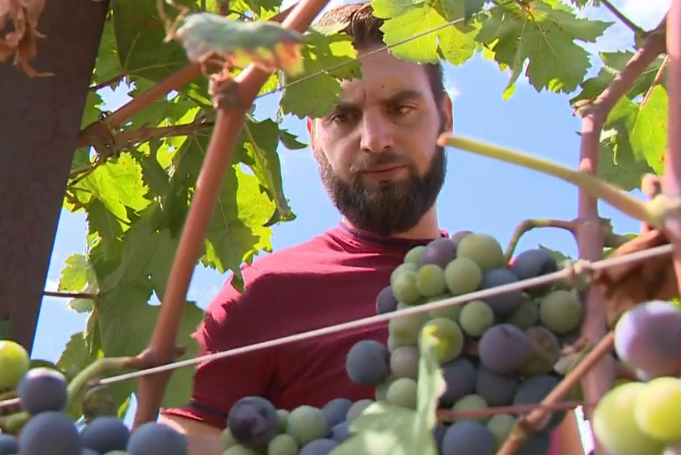 "APSURDISTAN" Pao na natječaju zbog tri slova