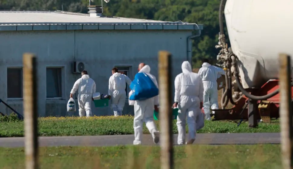 Struka očajna: Sve više bolesti, sve manje veterinara. Tko će zaštititi ljude i životinje?
