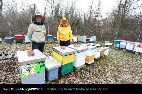 Branitelji nabavili 30 košnica i već prve godine med je odličan