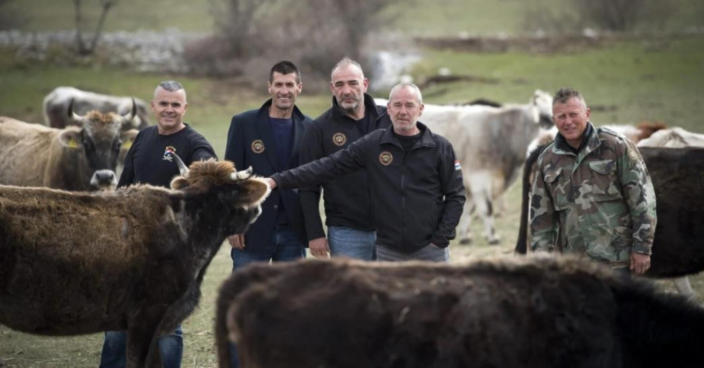 BIZNIS BRAĆE PO ORUŽJU ‘Uzgajamo najveće stado goveda u Dalmaciji! Skoro smo propali, a sad nam EU daje milijun eura‘