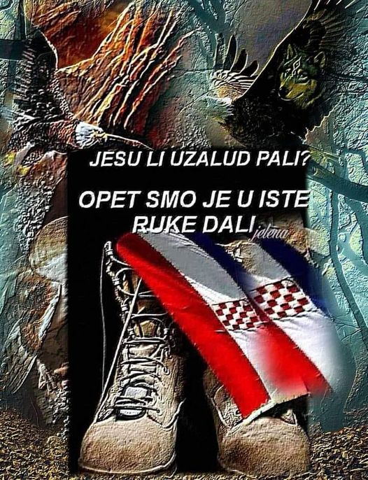 NOVA ZORA !!!