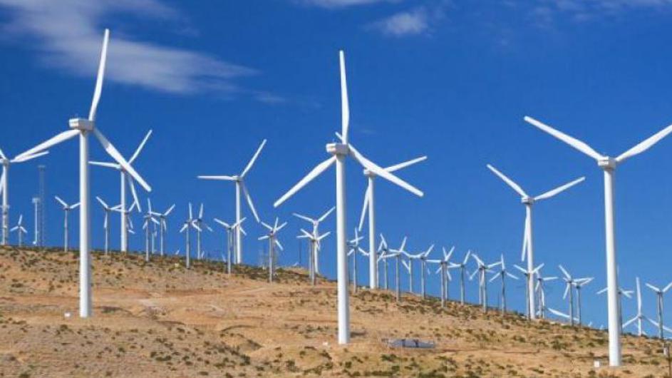 CEMP upravi Hrvatskih šuma: Uzimate 40.000 eura dnevno