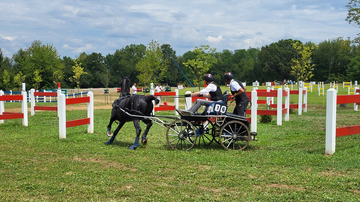 KRALJEVSKI GALOP U SLAVONIJI: Ljubitelji konjičkog sporta uživali u natjecanju jednoprega, dvoprega i četveroprega