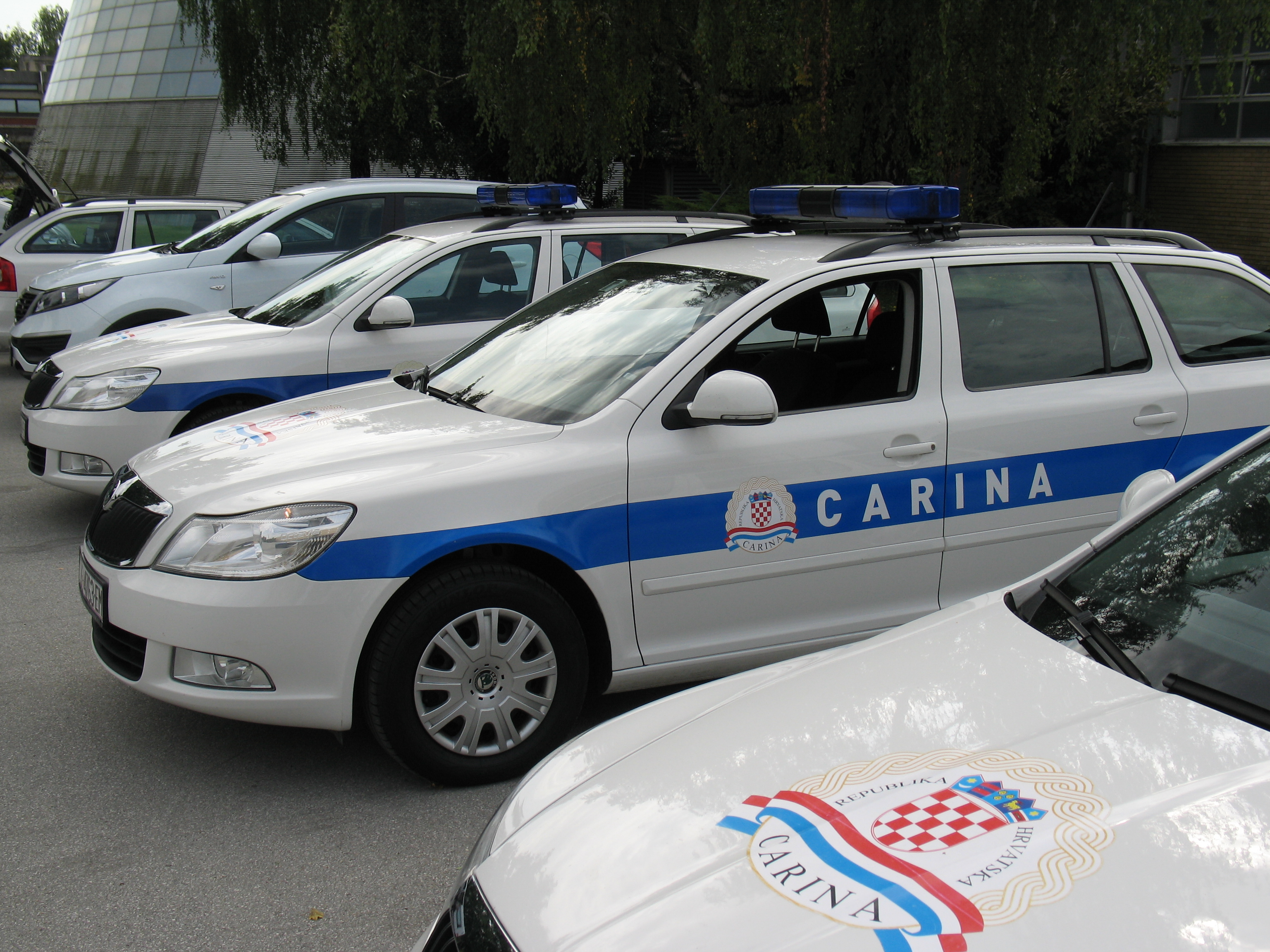 Evo što vam sve može napraviti carina