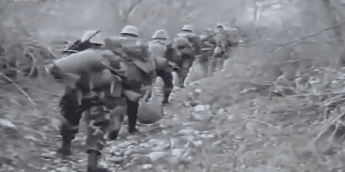 Cincar 1994.: Oslobođenje Kupresa – početak zajedničke pobjede