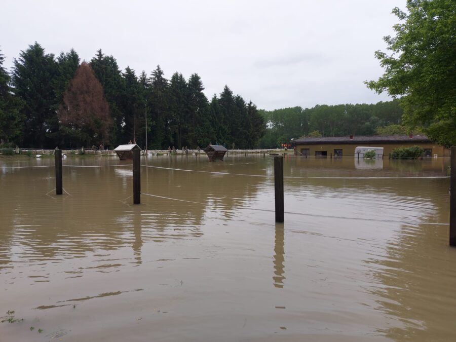 Ekolog o poplavama: Svi su krivi osim onih koje plaćamo, a to su Hrvatske vode