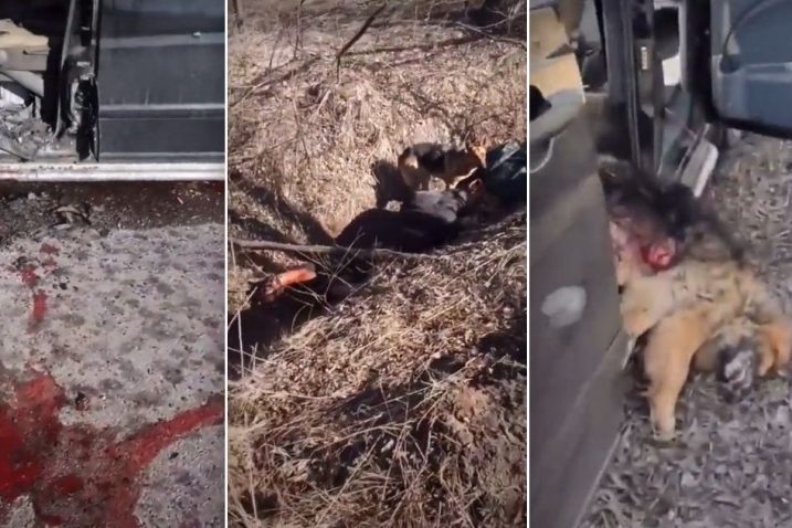 Najpotresniji snimak stradanja civila u Ukrajini: Trenutak kad su ubili Igora Bakuna. Njegov pas ga nije želio napustiti