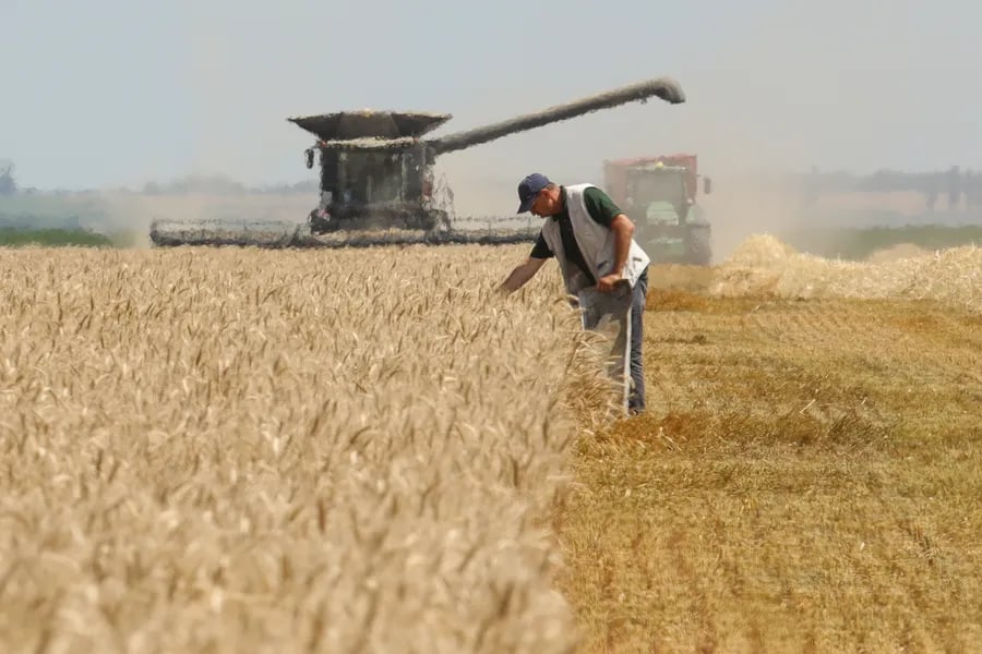 Što za ratara znači nula? Četiri ključna problema poljoprivrede u RH