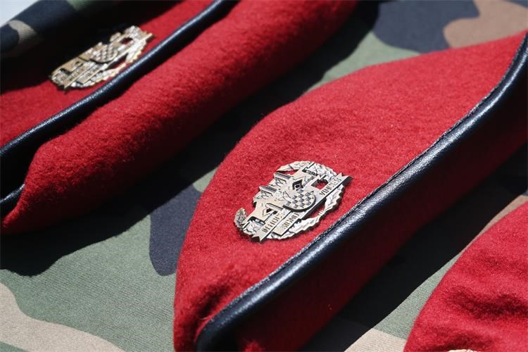 Čestitka ministra Medveda Paucima