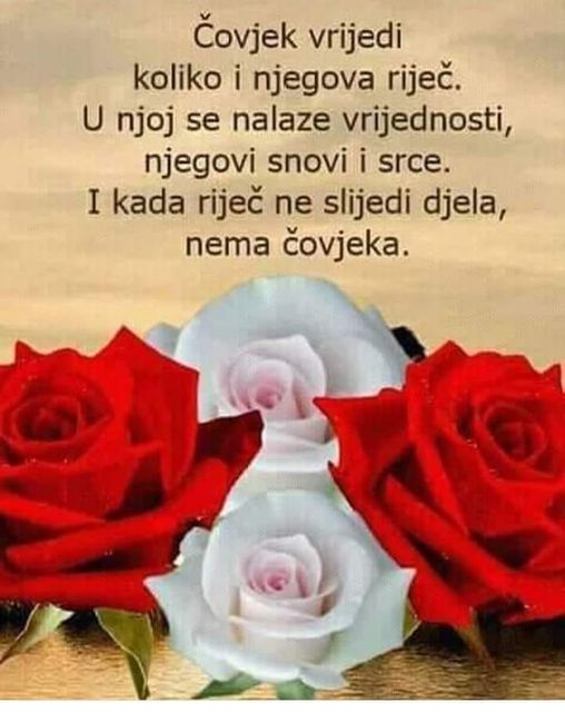 PTICA SE PO SVOM PJEVU PREPOZNA !!!