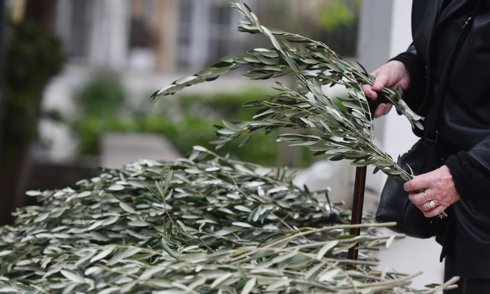Danas je Cvjetnica, nedjelja Muke Gospodnje. Znate li što vjernici obilježavaju?