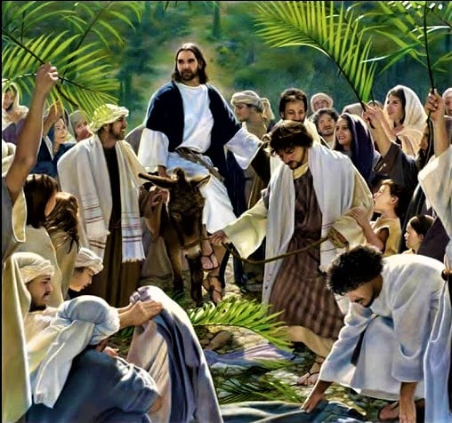 Danas je Cvjetnica, počeo je Veliki tjedan