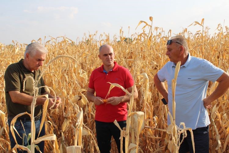 Dabro zaustavlja natječaje za zakup državnog zemljišta: ‘Lokalni šerifi ih koriste u predizborne svrhe, idemo u izmjene zakona‘