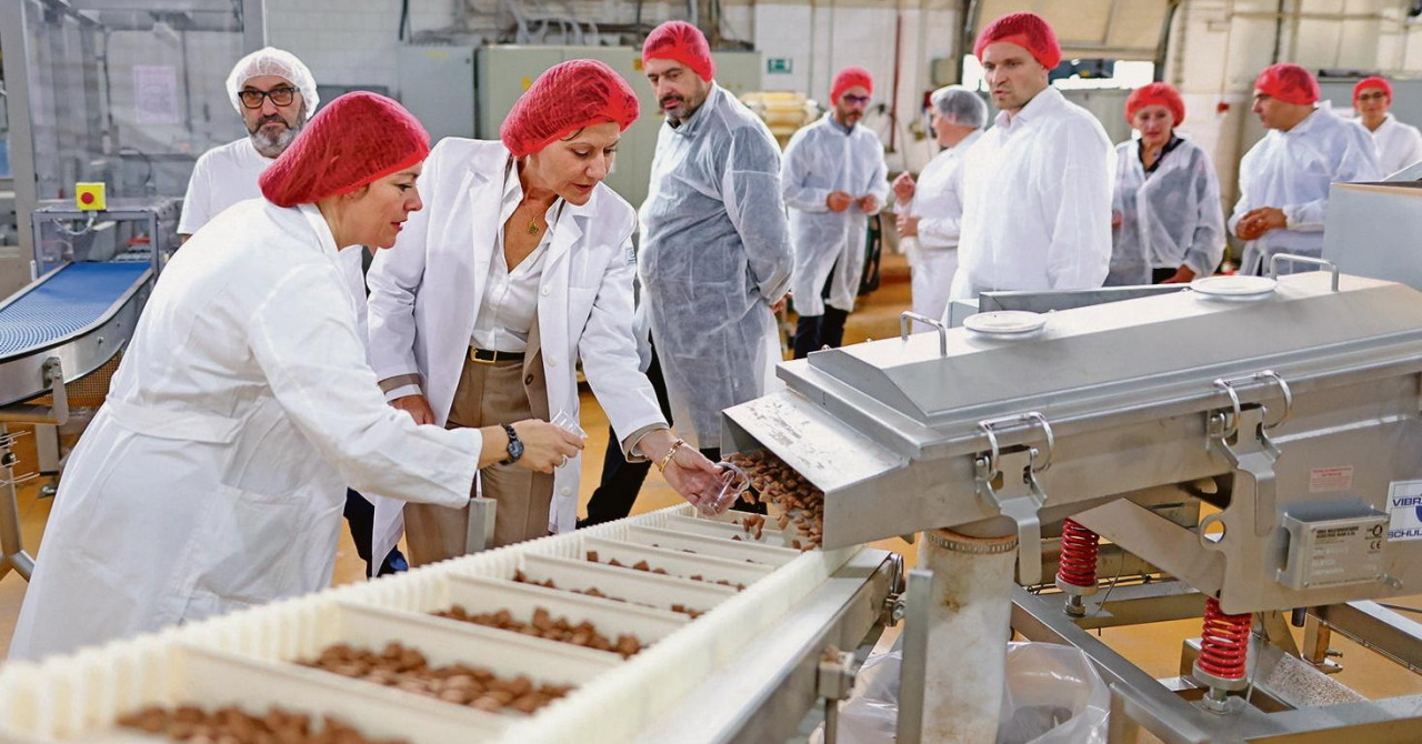 Braća Pivac probudili uspavane ulagače na burzi: Dionica Podravke danas se vinula u nebo! Burza ih pitala što se to događa