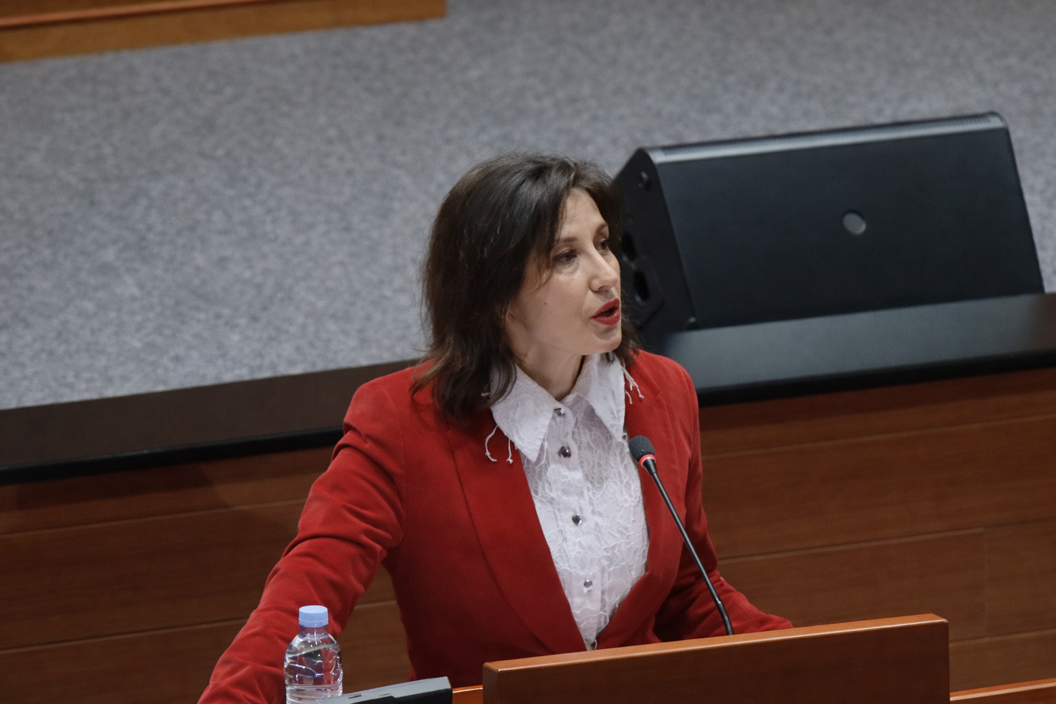 Optužbe za ustaštvo bez pardona: Hrvatska politika na rubu