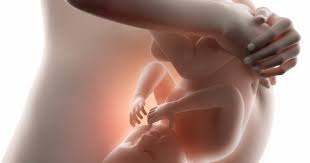 25. ožujka Dan nerođenog djeteta – svaki život je poseban i neponovljiv dar od Boga roditeljima i svijetu