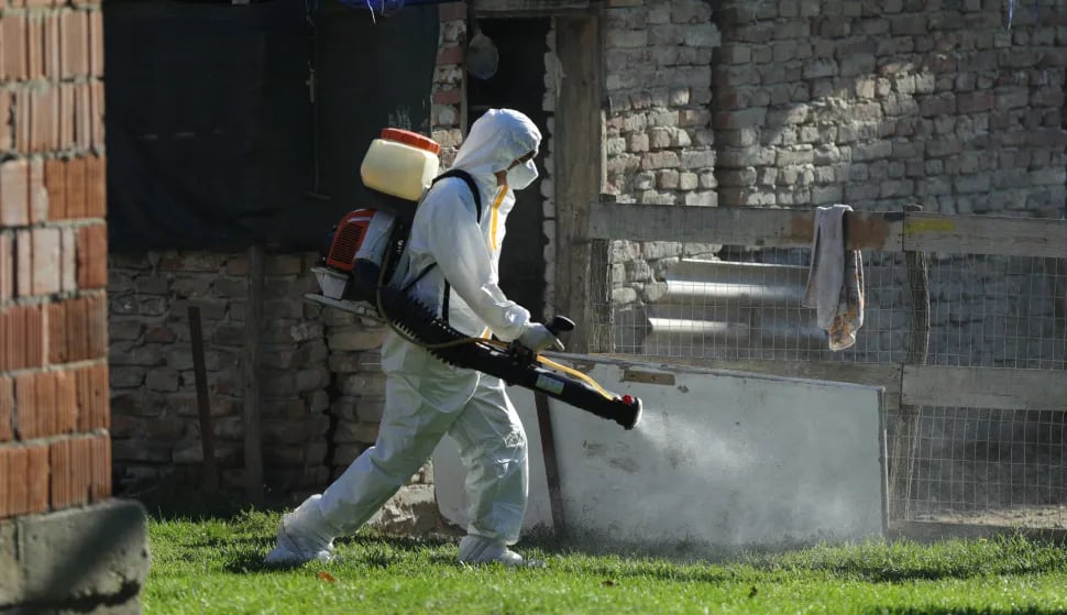 Hrvatska veterinarska komora podržava sve mjere Kriznog stožera oko svinjske kuge