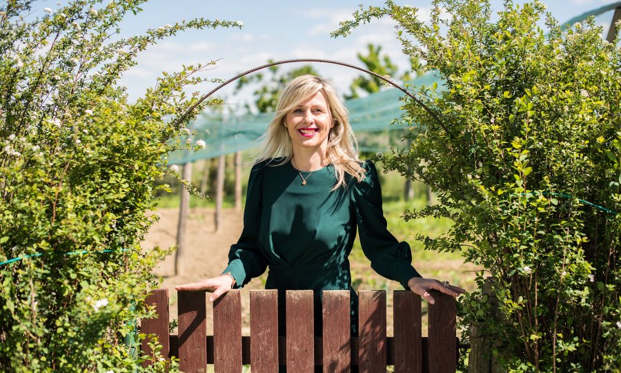 TKO JE PROFESORICI ZADRAVEC POSLAO NAVODNI JANDROKOVIĆEV SMS? Poznati liječnik progovara o pozadini rata za Vinogradsku!