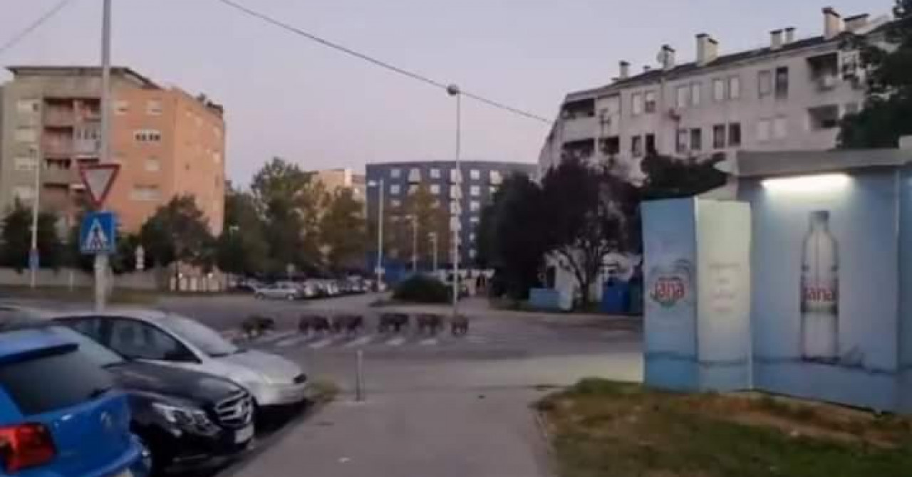 KUDA IDU DIVLJE SVINJE Sedam divljih svinja sinoć je prošlo pola Zagreba: ‘Ne znam je l‘ bi se smijala ili plakala. Pa djeca tu idu u školu!‘